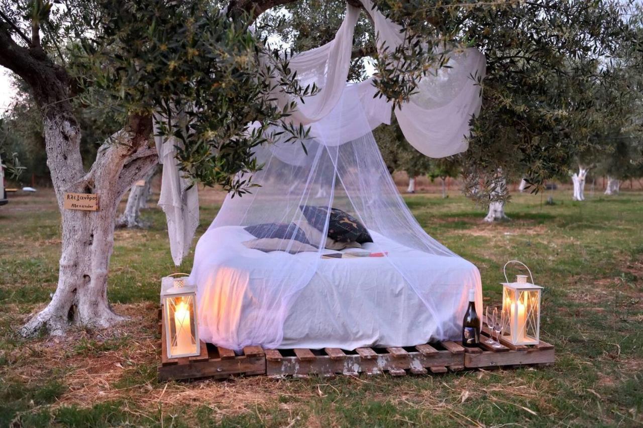 Glamping At A Lovely Tent In Skiaxtro- Hébergement de vacances *